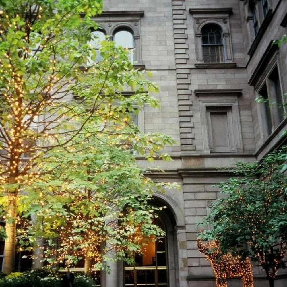 Meet your Posher, Lucas